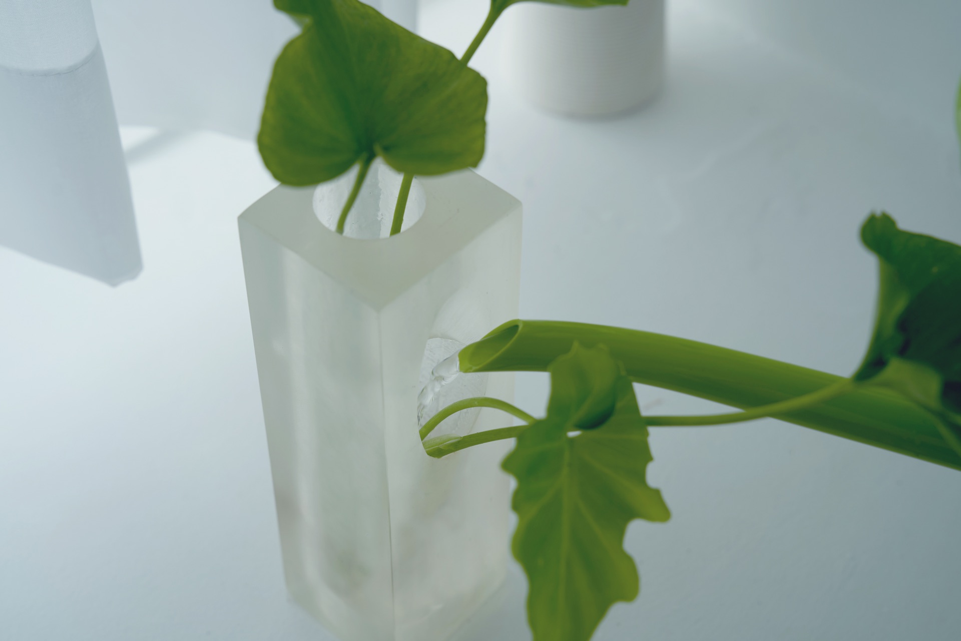 product-4